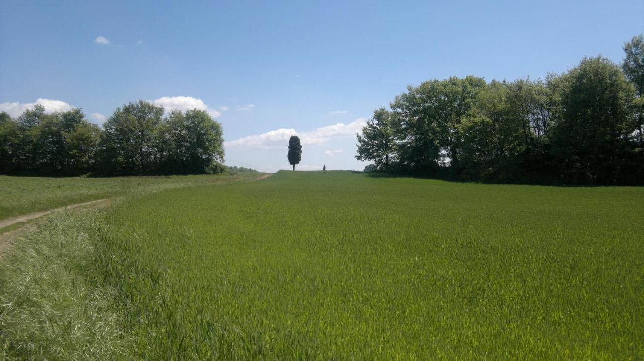 Appartamento Miralago Bolsena Exterior foto