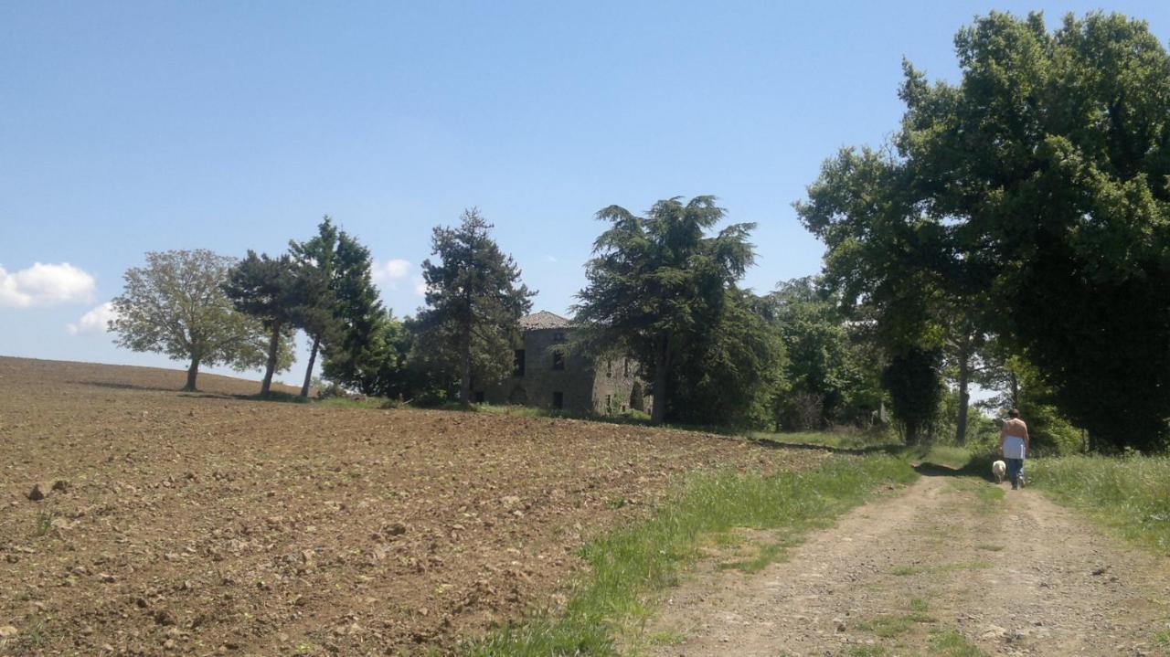 Appartamento Miralago Bolsena Exterior foto